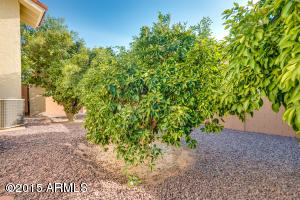 4060 E Hackamore Cir, Mesa, AZ 85205 photo 70