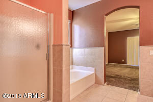 10616 E Carol Ave, Mesa, AZ 85208 photo 18