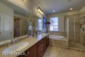 3923 E Cat Balue Dr, Phoenix, AZ 85050 photo 7