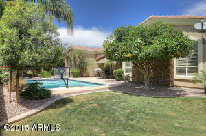 4449 Encinas Ave, Gilbert, AZ 85234 photo 43
