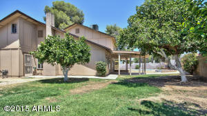4138 W Crocus Dr, Phoenix, AZ 85053 photo 38