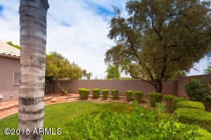 1985 E Todd Dr, Tempe, AZ 85283 photo 43