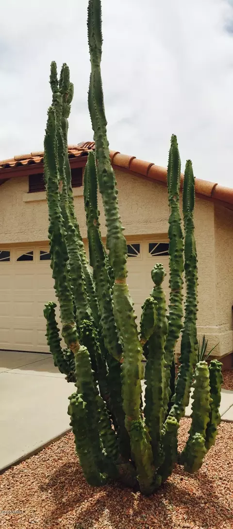 3413 E Oraibi Dr, Phoenix, AZ 85050 photo 26