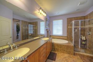 3875 E Cat Balue Dr, Phoenix, AZ 85050 photo 8