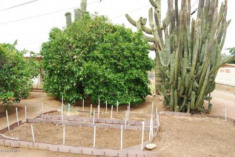 8220 E 2nd Ave, Mesa, AZ 85208 photo 18
