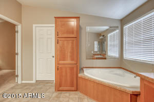 1858 N Idaho Rd, Apache Junction, AZ 85119 photo 9