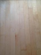 721 W Beth Dr, Phoenix, AZ 85041 photo 10