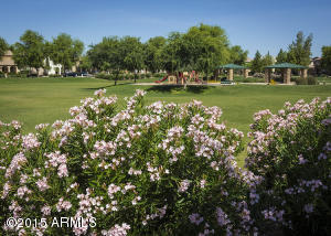 4351 E Milky Way, Gilbert, AZ 85295 photo 21