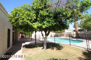 559 E Grandview St, Mesa, AZ 85203 photo 20
