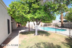 559 E Grandview St, Mesa, AZ 85203 photo 19