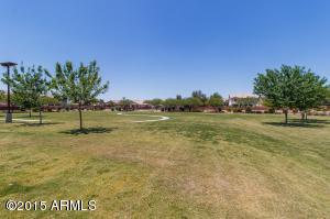 9949 Empress Ave, Mesa, AZ 85208 photo 25