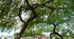6230 E Virginia St, Mesa, AZ 85215 photo 40