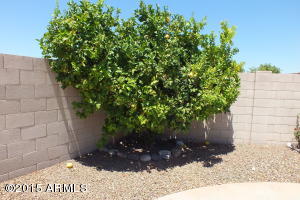 2914 E Hale St, Mesa, AZ 85213 photo 37