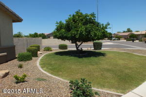 2914 E Hale St, Mesa, AZ 85213 photo 32