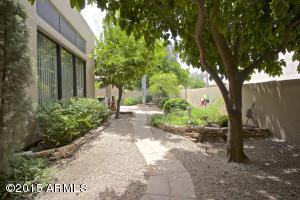 4006 E Round Hill Dr, Phoenix, AZ 85028 photo 40