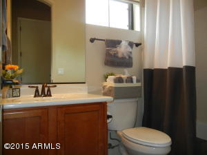 8538 E Indigo St, Mesa, AZ 85207 photo 20