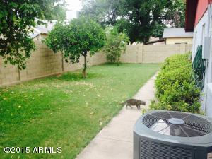 740 E Park Pl, Mesa, AZ 85203 photo 14