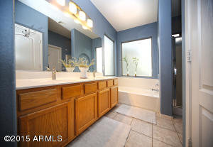 3593 E Caleb Way, Gilbert, AZ 85234 photo 14