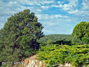418 W Frontier St, Payson, AZ 85541 photo 22