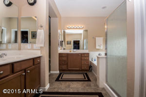 1531 E Birdland Dr, Gilbert, AZ 85297 photo 19