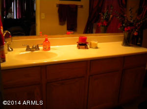7209 S 41st Dr, Phoenix, AZ 85041 photo 15