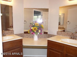 5030 E Dover St, Mesa, AZ 85205 photo 16