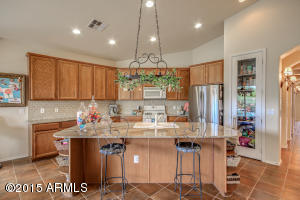 2048 E Hackberry Pl, Chandler, AZ 85286 photo 16