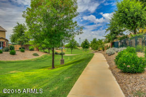2048 E Hackberry Pl, Chandler, AZ 85286 photo 35