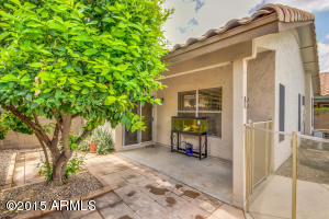 2220 E Robin Ln, Phoenix, AZ 85024 photo 15