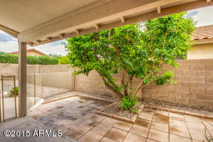 2220 E Robin Ln, Phoenix, AZ 85024 photo 16