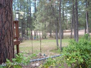 2150 N Woods Dr, Overgaard, AZ 85933 photo 3