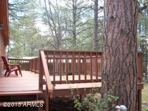 2150 N Woods Dr, Overgaard, AZ 85933 photo 4