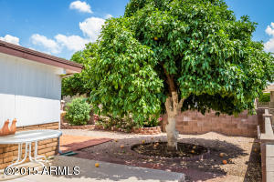 6549 E Barstow St, Mesa, AZ 85205 photo 27