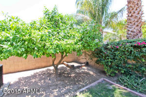 2307 E Taro Ln, Phoenix, AZ 85024 photo 27