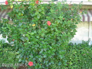 2007 E Turney Ave, Phoenix, AZ 85016 photo 3