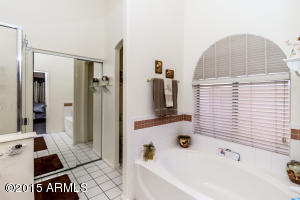 654 S Sahuaro Dr, Gilbert, AZ 85233 photo 19