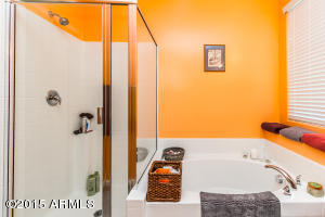 851 E Aberdeen Dr, Gilbert, AZ 85298 photo 18