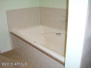 3655 E Dragoon Ave, Mesa, AZ 85206 photo 7