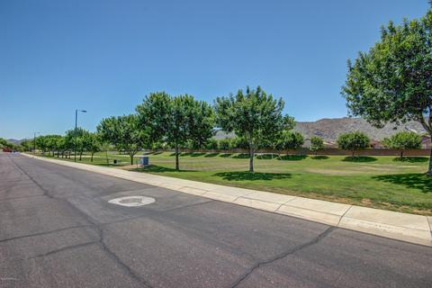 1014 E Pedro Rd, Phoenix, AZ 85042 photo 39