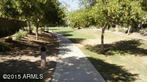 877 E Doral Ct, Gilbert, AZ 85297 photo 21