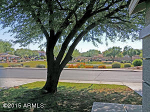 695 S Roca St, Gilbert, AZ 85296 photo 25