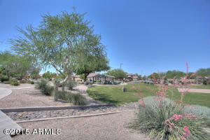 695 S Roca St, Gilbert, AZ 85296 photo 28