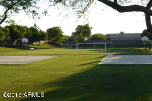1010 E Pedro Rd, Phoenix, AZ 85042 photo 34