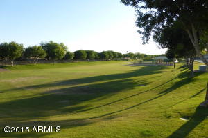 1010 E Pedro Rd, Phoenix, AZ 85042 photo 29