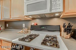 9331 E Contessa Cir, Mesa, AZ 85207 photo 7