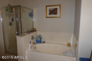 1302 E Beth Dr, Phoenix, AZ 85042 photo 16