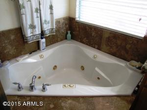 5173 N San Marcos Dr, Apache Junction, AZ 85120 photo 17