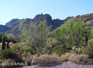 5173 N San Marcos Dr, Apache Junction, AZ 85120 photo 43