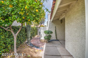 1922 E Linger Ln, Phoenix, AZ 85020 photo 11