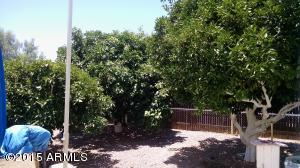 9407 Edgewood Ave, Mesa, AZ 85208 photo 11